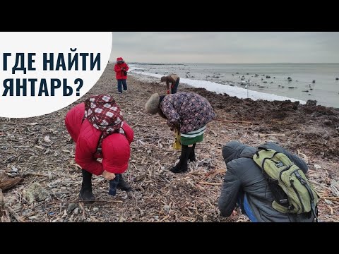 Видео: Где найти янтарь? Янтарная лихорадка. Собираем янтарь и я рассказываю о нем.