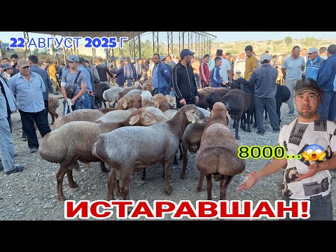 Видео: ИСТАРАВШАН! РАФТАМ НАРХОИ ГУСФАНДХО..#rek #khujand #rekomendasi