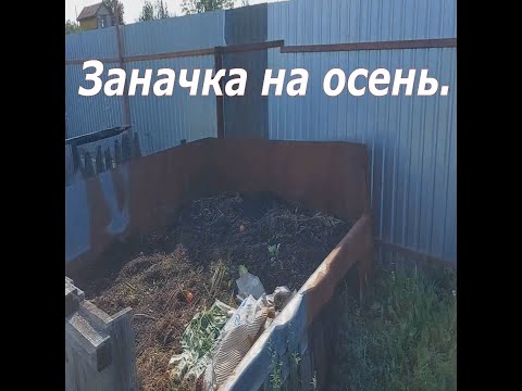 Видео: Червячная заначка.