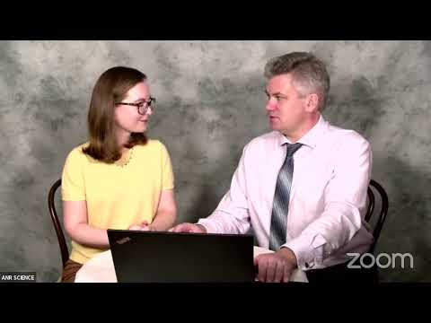 Видео: Искусственная поджелудочная железа: чего мы добились за прошедшее столетие и что ещё впереди?