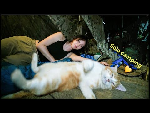 Видео: одиночный кемпинг со страшными дикими животными / мукбанг с разнообразной едой / летний кемпинг