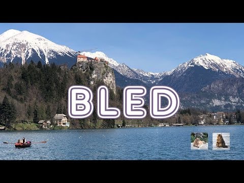 Видео: Котики и озеро БЛЕД в Словении