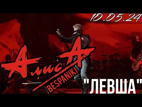 Видео: 10.05.24 - АлисА - "Левша" - Чёрная метка ХХХ лет