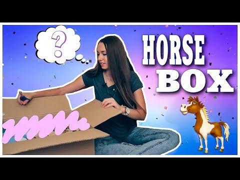 Видео: БОЛЬШОЙ HORSE BOX | Распаковка