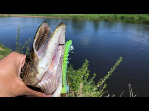 Видео: С джигом по реке | Изучение новых мест для рыбалки | Щука на джиг