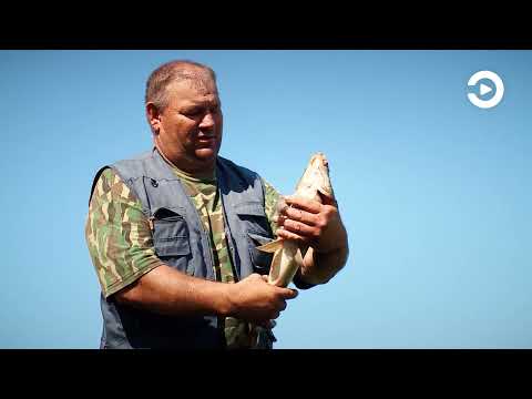 Видео: Наша фишка Лунинский район Часть 2