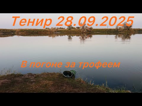 Видео: Тенир рыбалка близь Алматы , в поисках трофея  28.09.2025