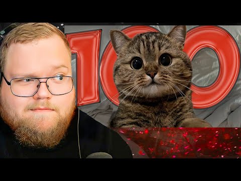 Видео: 100 Фактов О Котиках / РЕАКЦИЯ T2x2