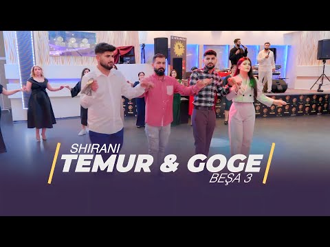 Видео: Temur & Goge //Shirani//Езидская помолвка/   2023 PART 3