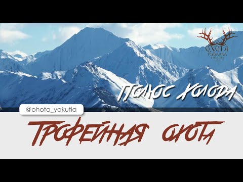 Видео: Трофейная охота на Полюсе холода