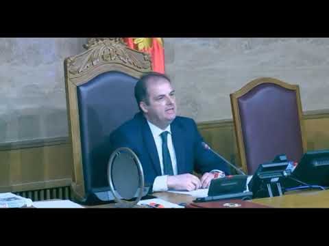 Видео: Милан Кнежевић: Сви сте ви Срби само што сте заборавили