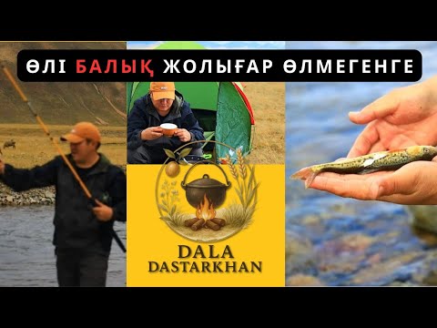 Видео: Өлі балық жолығар өлмегенге