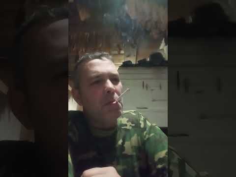 Видео: Вирджиния америка зеленолистная 0.5 ломка🤠✊✊✊🤝