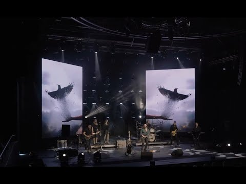 Видео: Андрей Лефлер - Птица Северных Ветров (10.03.2024, Москва)