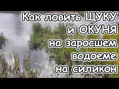 Видео: Как ловить щуку и окуня в заросшем водоеме на силиконовые приманки