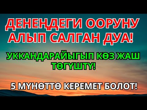 Видео: Күчтүү дуба денедеги ооруну чыгарып таштайт! 5 мүнөттө айыгуу келет