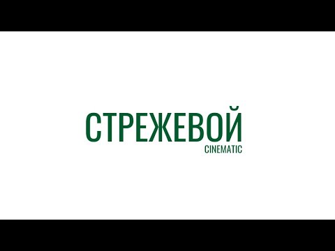 Видео: Стрежевой (cinematic)