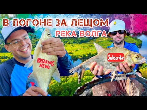 Видео: Ловля ЛЕЩА на ВОЛГЕ. Нашли невероятное красивое место с КУЧЕЙ РЫБЫ