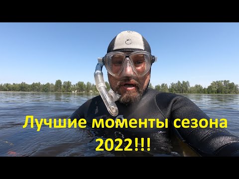 Видео: ПОДВОДНАЯ ОХОТА /сезон 2022 / лучшие моменты!!!