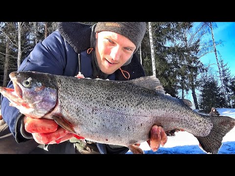 Видео: ЖАРА ПОШЛА!!! ЭТО АД КАКОЙ-ТО! УТАСКИВАЮТ УДОЧКИ, РВУТ СНАСТИ! ЖЕСТЬ!