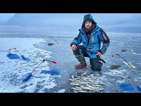 Видео: ПОСТАВИЛ УДОЧКИ НА КОРЮШКУ И ДЕЛО ПОШЛО! ЗИМНЯЯ ЛОВЛЯ КОРЮШКИ НА ФИНСКОМ ЗАЛИВЕ