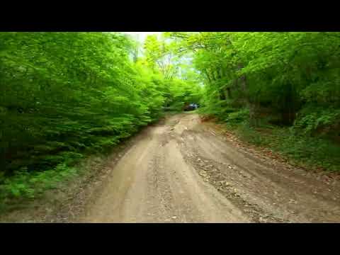 Видео: Enduro ADV на Adventure Fest 2025 PROJECT 18 (День 1 пролог)