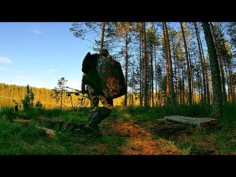Видео: РЫБАК ПЕРЕШЁЛ БОЛОТО ЗАШЁЛ В ЛЕС НАШЁЛ ОЗЕРО И ОБАЛДЕЛ! РЫБАЛКА В ИЮНЕ 2024 РЫБУ ПОЙМАЛ И ПРИГОТОВИЛ