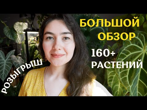 Видео: ВСЕ-ВСЕ-ВСЕ мои растения | БОЛЬШОЙ обзор коллекции | РОЗЫГРЫШ