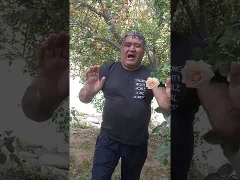 Видео: 7 июля 2022 г.