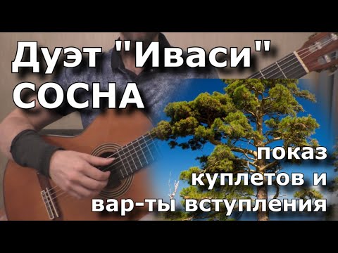Видео: ИВАСИ - Сосна (показ вступления и куплетов)
