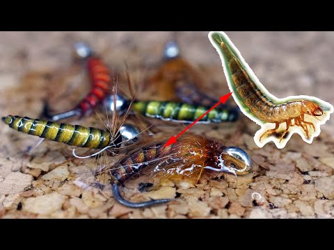 Видео: Новинка! Зебра Цветная. Реалистичная имитация Личинок!