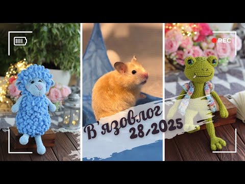 Видео: Вʼязовлог 28/2025. 1-7 вересня. Замовлення. Перший раз в перший клас. Пригоди із хомʼяком. 