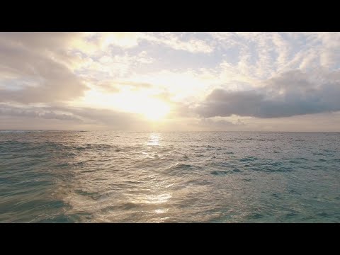 Видео: Покажи мне красивое море