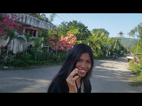 Видео: 44. Мои Филиппины, остров панай