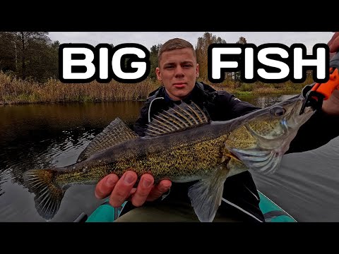 Видео: НАЙКРАЩА ПРИМАНКА ДЛЯ ХИЖАКА! 🤩 Риболовля на спінінг осінню. 🎣 ЖОР СУДАКА | М'який Силікон
