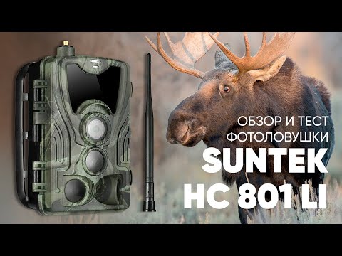 Видео: Обзор, тест и инструкция фотоловушки Suntek (Филин) HC 801 LTE  Li | Amazin.Su