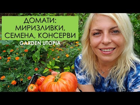 Видео: ДОМАТИ: МИРИЗЛИВКИ, СЕМЕНА, КОНСЕРВИРАНЕ