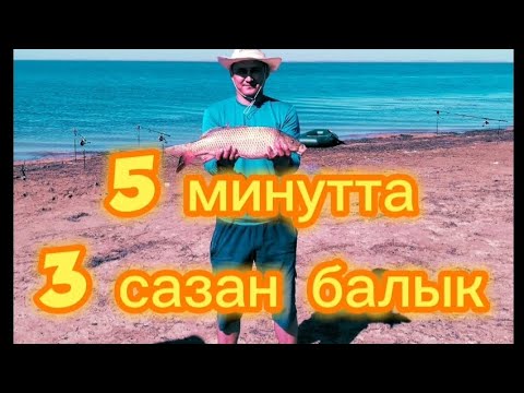 Видео: Шардара || сазан балық аулау 2023 || старый локатор