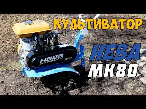 Видео: Культиватор НЕВА МК-80 / Идеальный для дачи.