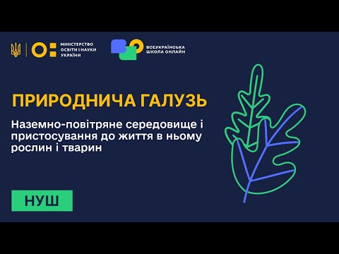 Видео: Природнича галузь. Наземно-повітряне середовище і пристосування до життя в ньому рослин і тварин