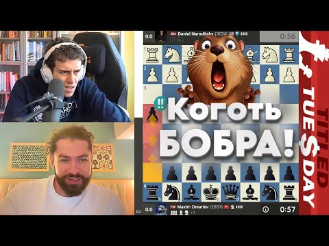 Видео: Коготь БОБРА!!! Даниэль Народицкий - Максим Омариев
