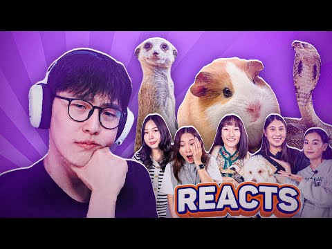 Видео: АМЬД МОГОЙНД ХҮРЧ ЧАДАХ УУ ? | CTS REACTS