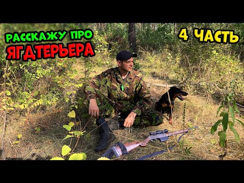 Видео: Держу Ягдтерьера 3 года (4 ЧАСТЬ) все породы безсильны. #ягдтерьер #ягдерьерволкмикс #волкмикс