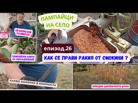 Видео: КАК СЕ ПРАВИ РАКИЯ ОТ СМОКИНИ | Епизод 26 от поредицата "ПАМПАЙЦИ НА СЕЛО | Първи опити за ашлама