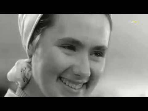 Видео: Владимир Нечаев - Вологодский говорок