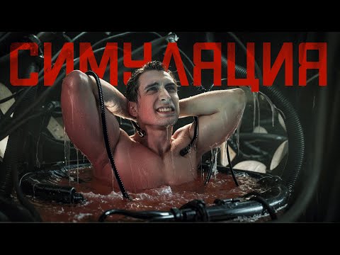 Видео: КАК ПОНЯТЬ, ЧТО МЫ В СИМУЛЯЦИИ | ЧД