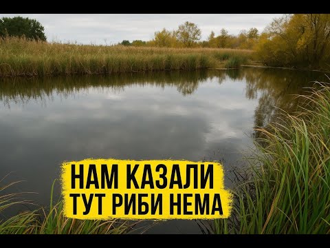Видео: НАМ КАЗАЛИ ТУТ РИБИ НЕМА 😎 А МИ ПОПАЛИ НА ОСІННІЙ ЖОР 2025 🎣🔥