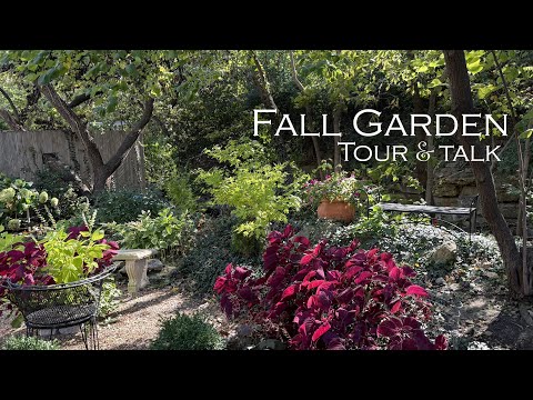Видео: Экскурсия и беседа по осеннему саду