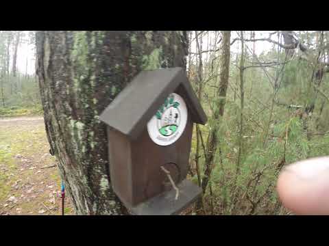 Видео: Дорога тишины (Silent Way) 1-2 ноября 2025