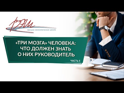 Видео: «Три мозга» человека: что должен знать о них руководитель